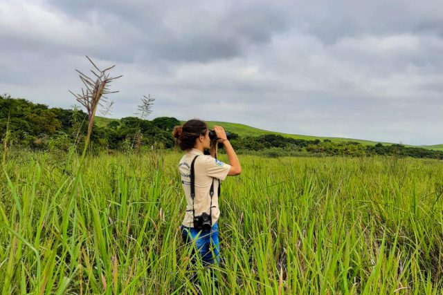 Monitoramento na Lagoa da Turfeira registra 41 espécies de aves