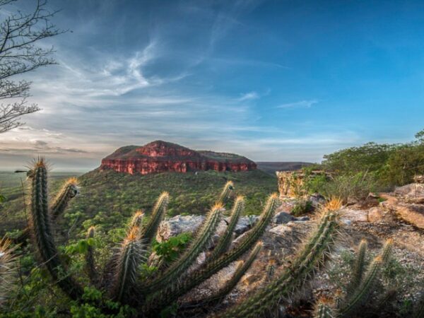 Serra da Capivara é reconhecida como um dos roteiros turísticos mais importantes do mundo