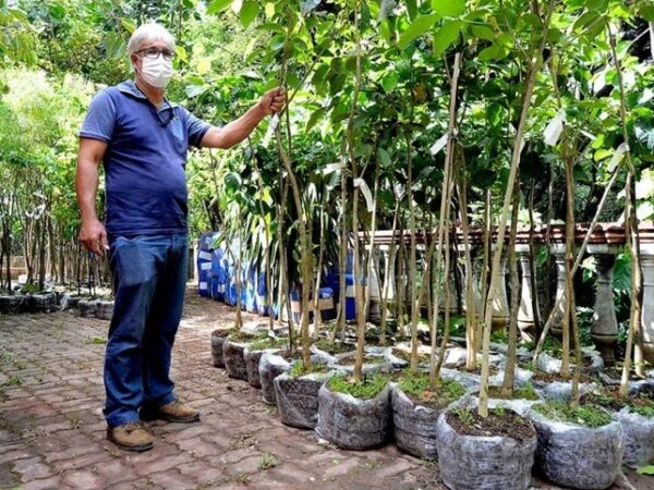 Várzea Paulista planta cerca de 1,8 mil mudas no Parque Chico Mendes