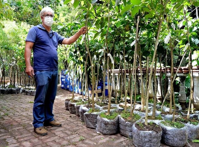 Várzea Paulista planta cerca de 1,8 mil mudas no Parque Chico Mendes