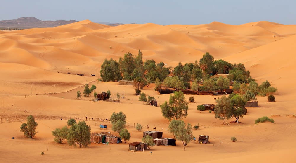 Cientistas descobrem uma floresta de quase 2 milhões de árvores no deserto do Saara