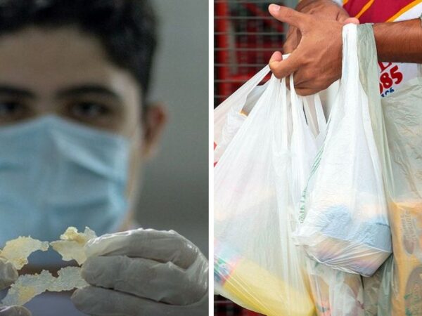 Estudante do Ceará desenvolve plástico biodegradável feito de batatas como alternativa para produção de sacolinhas