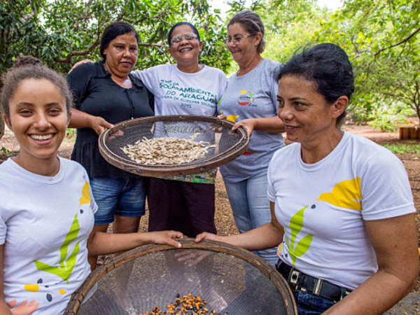 Mais de 500 coletores de sementes atuam na recuperação da Amazônia e do Cerrado