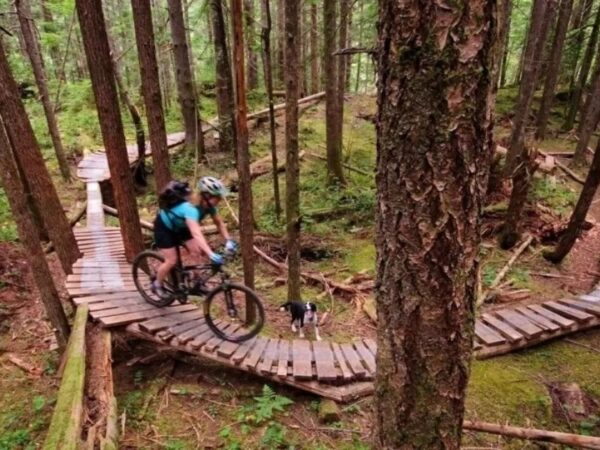 Vila canadense rica em trilhas de bike troca carvão por floresta e hoje atrai ciclistas do mundo todo