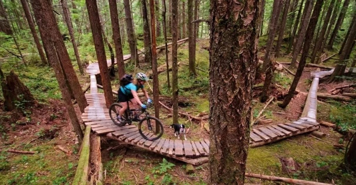 Vila canadense rica em trilhas de bike troca carvão por floresta e hoje atrai ciclistas do mundo todo