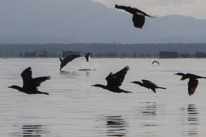 3 negócios que estão ajudando a despoluir a Baía de Guanabara