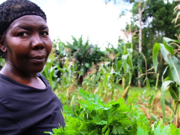 São Tomé e Príncipe vai ter agricultura 100% orgânica ainda em 2022 com ajuda do Brasil