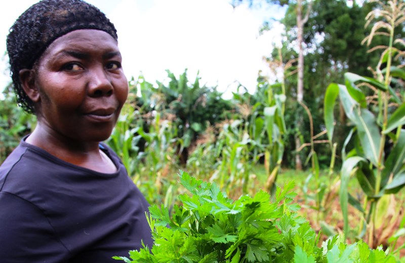 São Tomé e Príncipe vai ter agricultura 100% orgânica ainda em 2022 com ajuda do Brasil