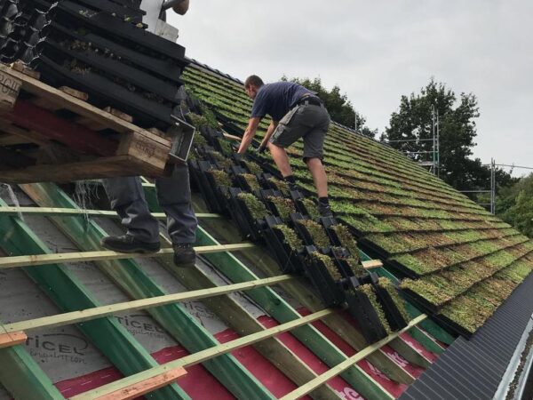 “Telhas vivas” para melhorar a biodiversidade e a eficiência energética da sua casa