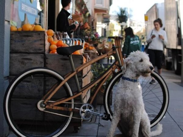 Designer cria bicicleta com madeira de barril usado