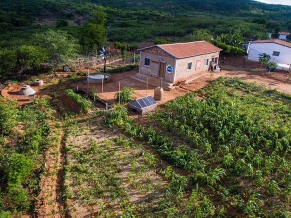 Escola leva cisternas à agricultura familiar e amplia renda no sertão do Piauí