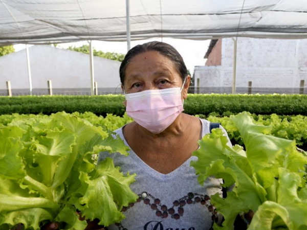 Projeto de horta orgânica em Fortaleza distribui alimentos a quem precisa