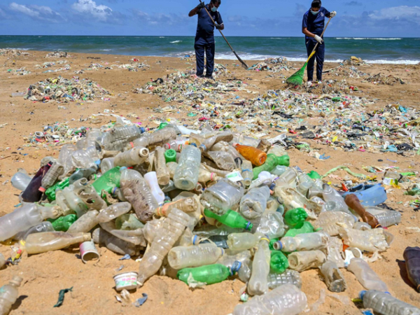 Poluição plástica afeta 88% das espécies marinhas, diz ONG