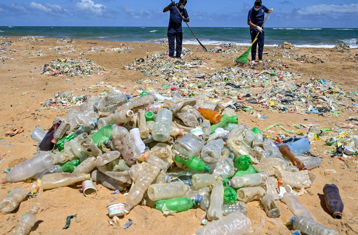 Poluição plástica afeta 88% das espécies marinhas, diz ONG
