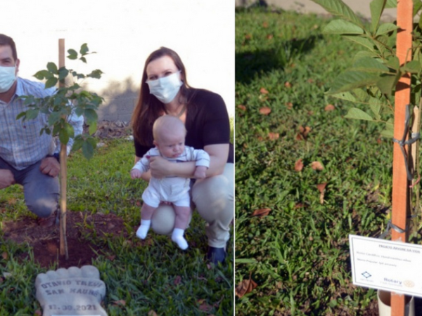 Garibaldi planta uma árvore para cada bebê que nasce