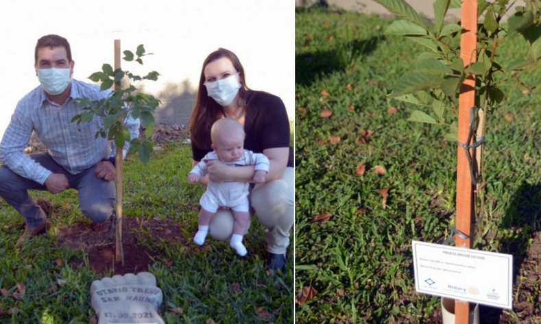 Garibaldi planta uma árvore para cada bebê que nasce