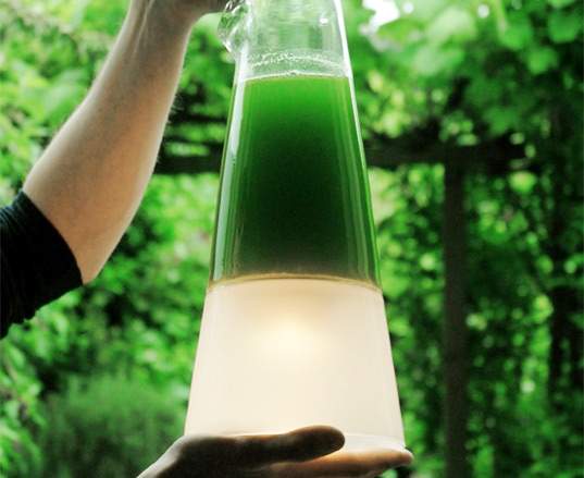 Latro. Lâmpada de algas que produz eletricidade através da fotossíntese.