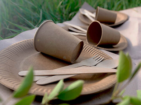 JOVENS CRIAM PRATO DE FOLHA DE BANANEIRA PARA SUBSTITUIR O PLÁSTICO