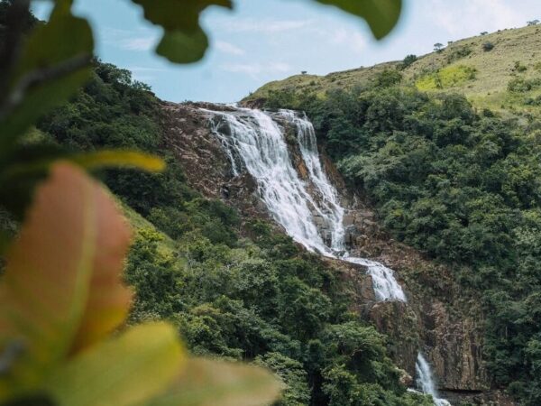 Panamá passa a reconhecer legalmente os ‘Direitos da Natureza’