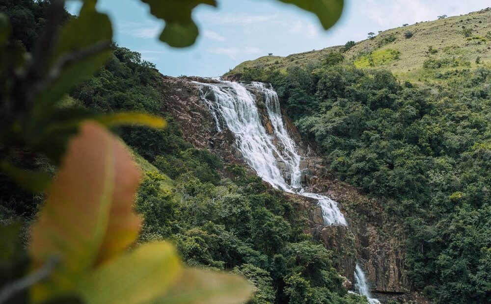 Panamá passa a reconhecer legalmente os ‘Direitos da Natureza’