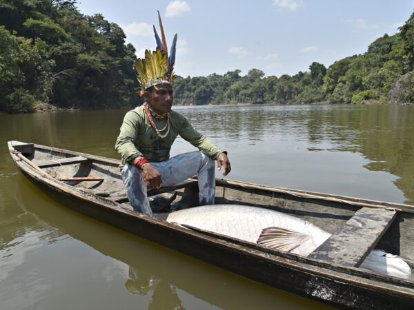 Com manejo sustentável da floresta, indígenas vão capturar 1 milhão de toneladas de carbono