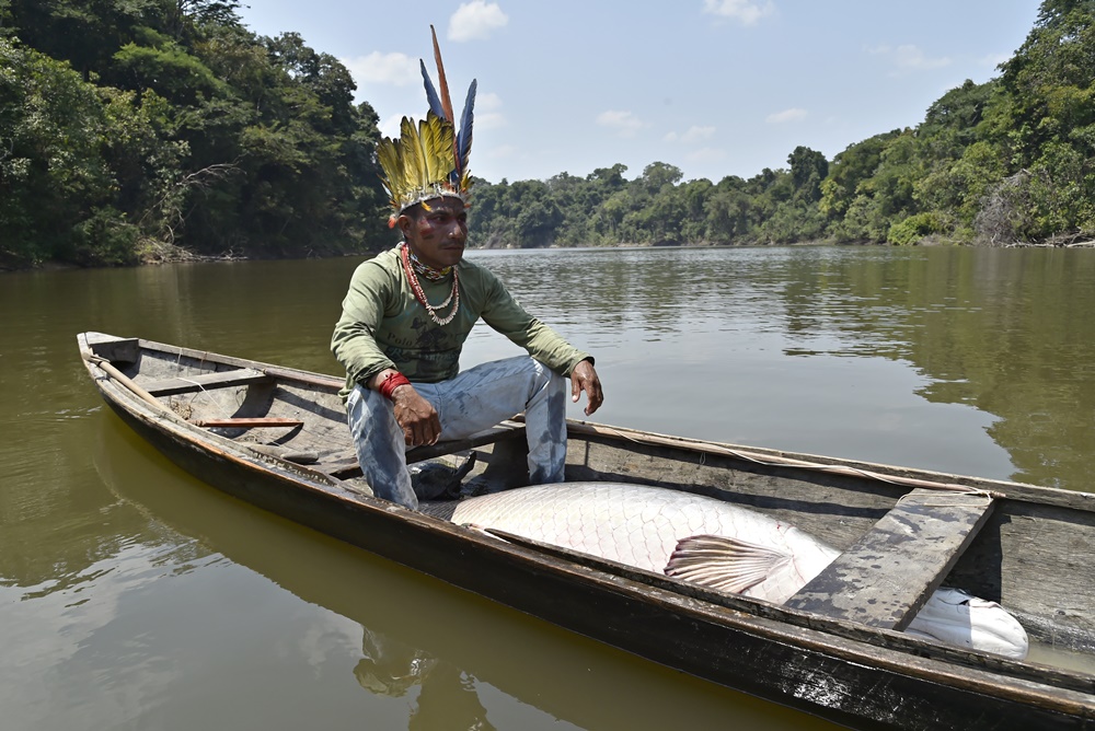 Com manejo sustentável da floresta, indígenas vão capturar 1 milhão de toneladas de carbono