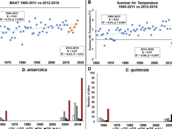 Expansão de plantas nativas da Antártida aponta efeitos das mudanças climáticas