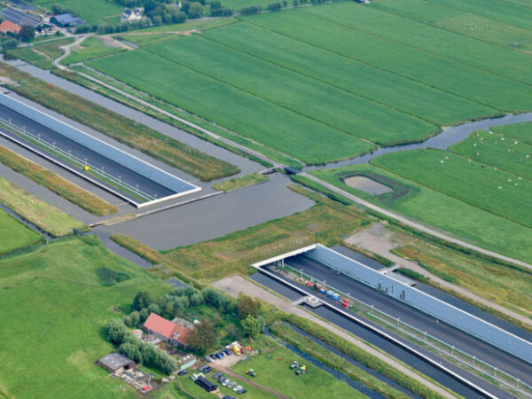 Pontes com vegetação podem salvar vidas de animais