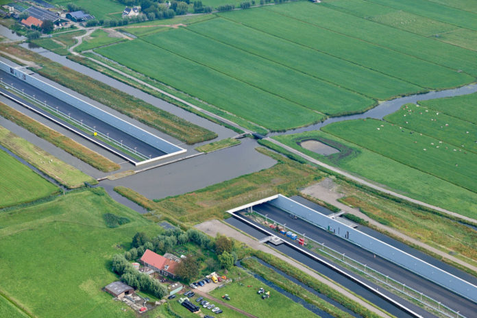 Pontes com vegetação podem salvar vidas de animais