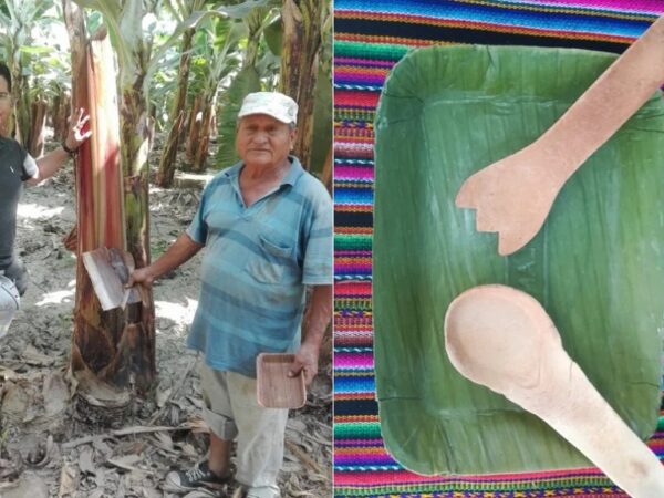 Peruanos criam prato de folha de bananeira