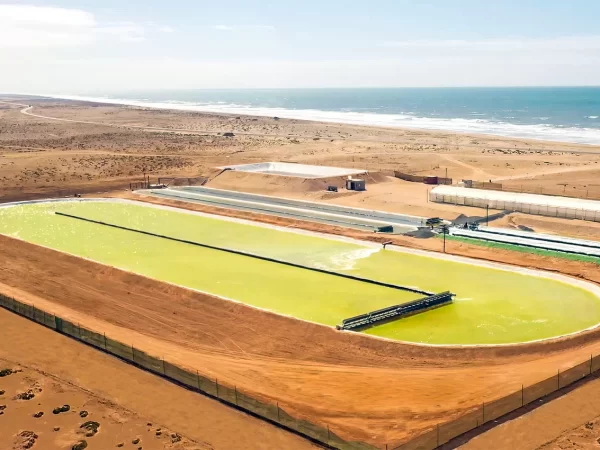 O MAIOR LAGO DE CRESCIMENTO DE ALGAS DO MUNDO USA TECNOLOGIA BASEADA NA NATUREZA PARA CAPTURAR AS EMISSÕES DE CO2