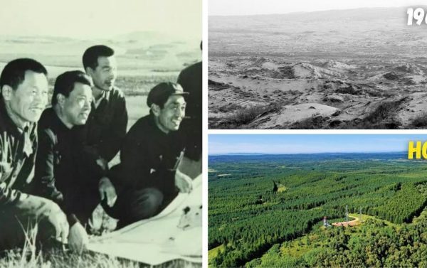 Comunidade se une em 1962 para plantar árvores e transformar deserto em floresta de vida