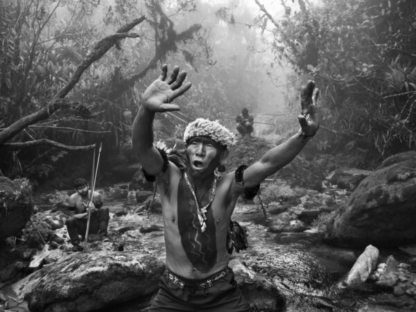 A Amazônia vista por Sebastião Salgado