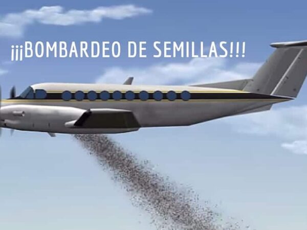 Tailândia bombardeia seu país com sementes para recuperar áreas degradadas