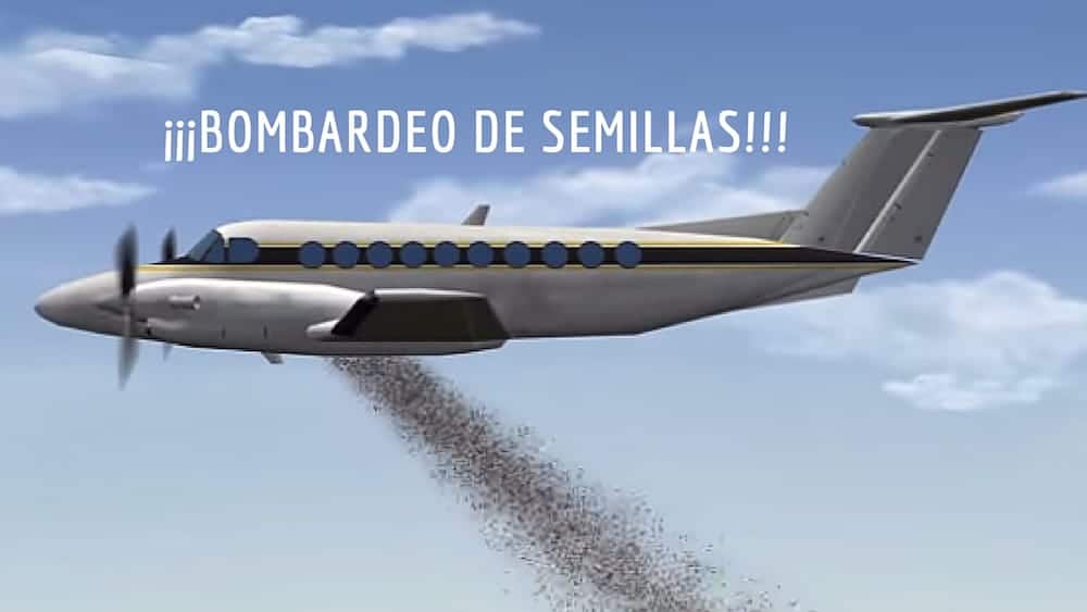 Tailândia bombardeia seu país com sementes para recuperar áreas degradadas