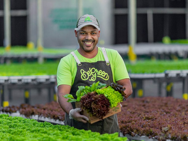 Shopping em Goiânia inaugura fazenda urbana no estacionamento