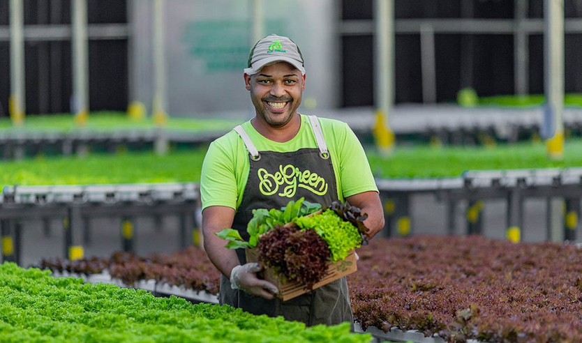 Shopping em Goiânia inaugura fazenda urbana no estacionamento