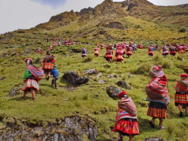 Comunidades indígenas estão reflorestando os Andes