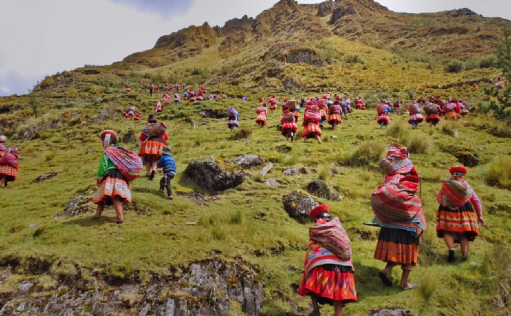 Comunidades indígenas estão reflorestando os Andes