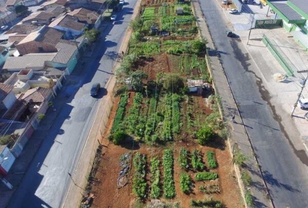 Horta comunitária em Sete Lagoas (MG) atende 320 famílias há 40 anos