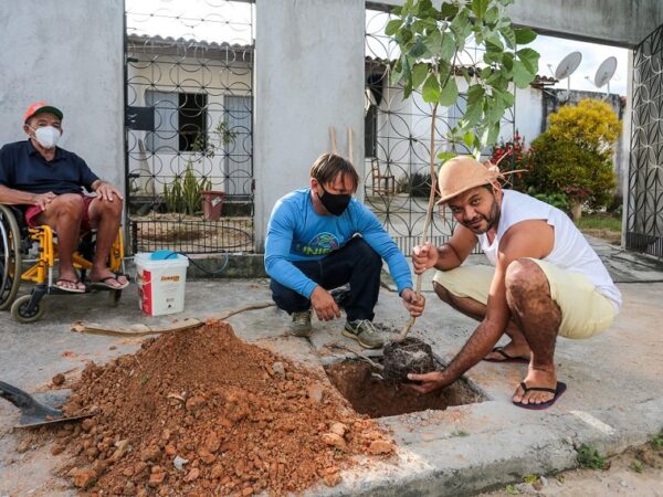 Fortaleza estimula população a plantar árvores na calçada