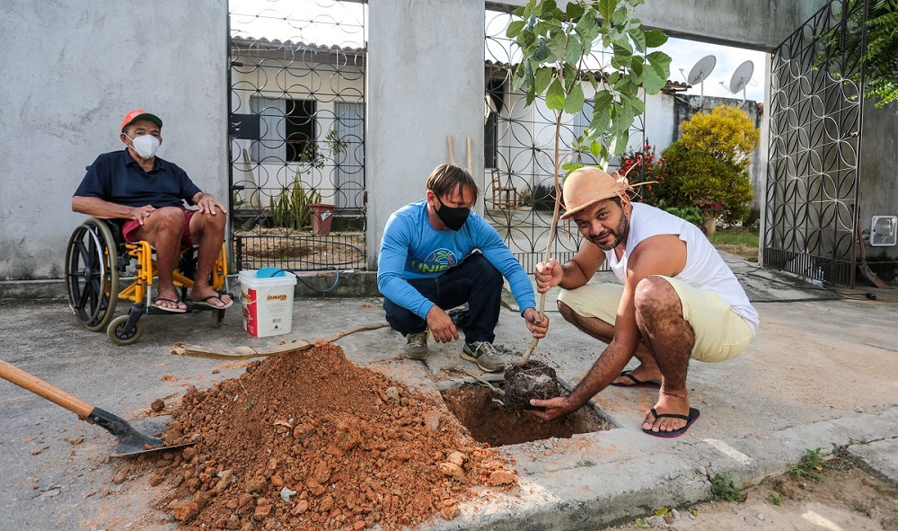 Fortaleza estimula população a plantar árvores na calçada