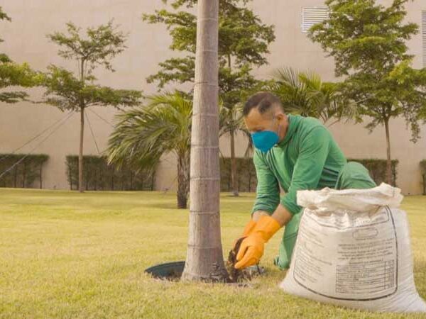 Shopping investe em compostagem para destinar resíduos orgânicos