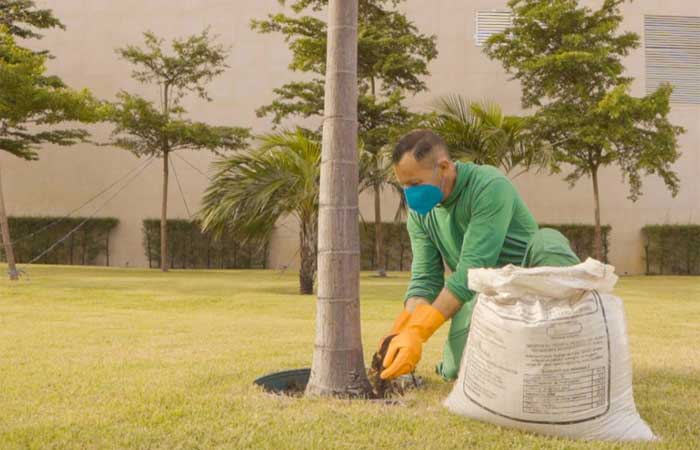 Shopping investe em compostagem para destinar resíduos orgânicos