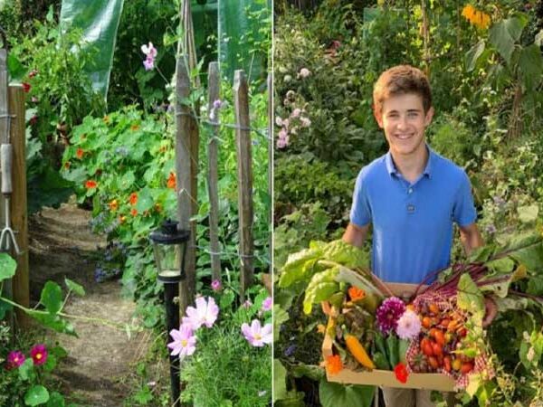 Jovem cria oásis de alimentos orgânicos em um pequeno espaço