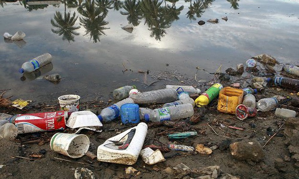 Microplástico pode transportar para oceanos germes que causam doenças