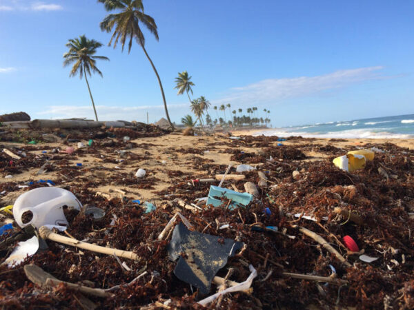 Lenços umedecidos, cotonetes e absorventes encontrados em praias carregam bactérias nocivas à saúde