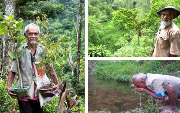 Homem de 68 anos plantou mais de 11.000 árvores para trazer água de volta à floresta