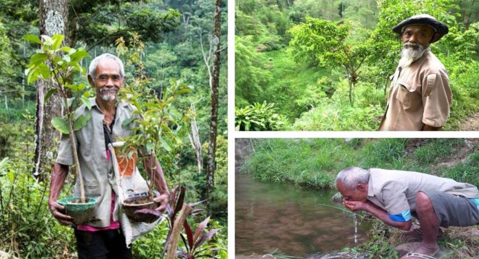 Homem de 68 anos plantou mais de 11.000 árvores para trazer água de volta à floresta