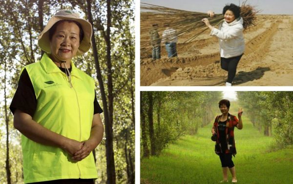 Mulher de 65 anos transforma deserto em floresta de vida plantando milhares de árvores